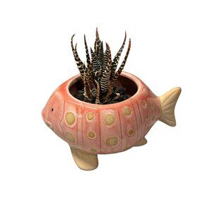 Pink Fish Mini Planter Pot | Tropical Shaped Fish Pot | 5" x 3"